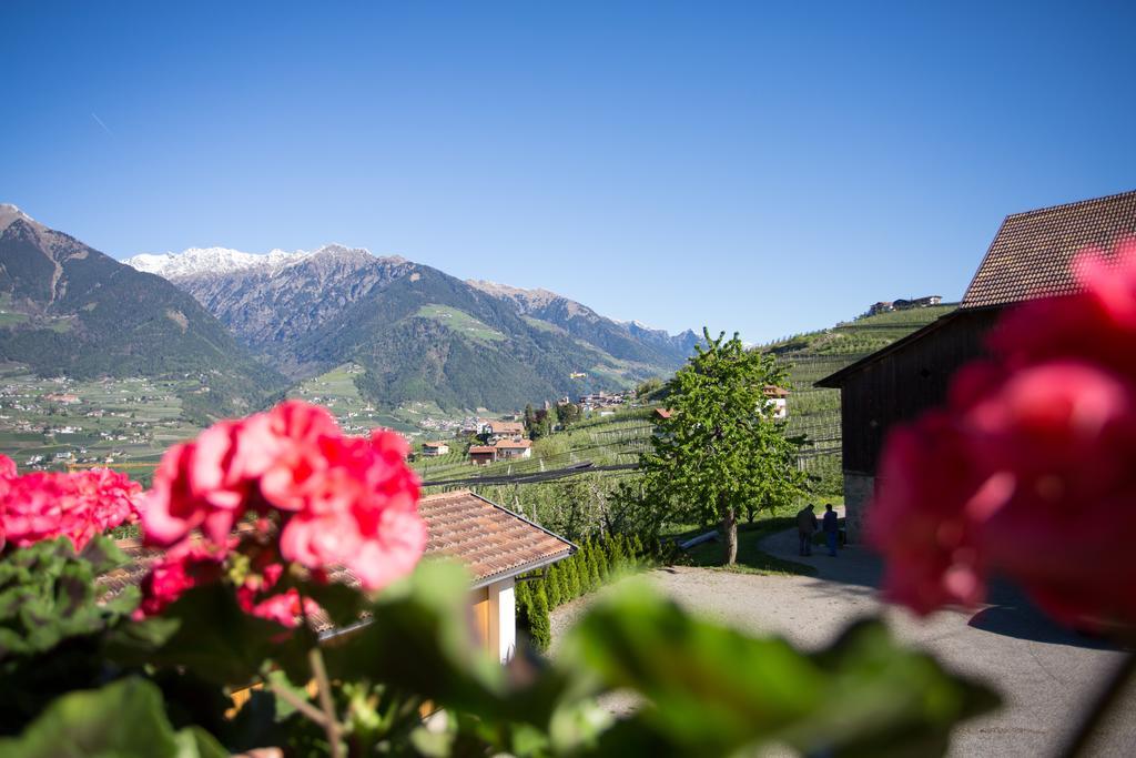 Garni Pluner Schenna Exteriér fotografie